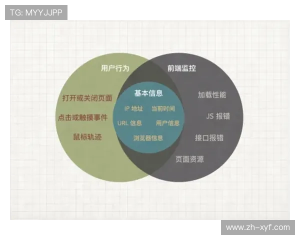 威廉网站流量分析工具使用技巧，帮助站长精准把握用户行为