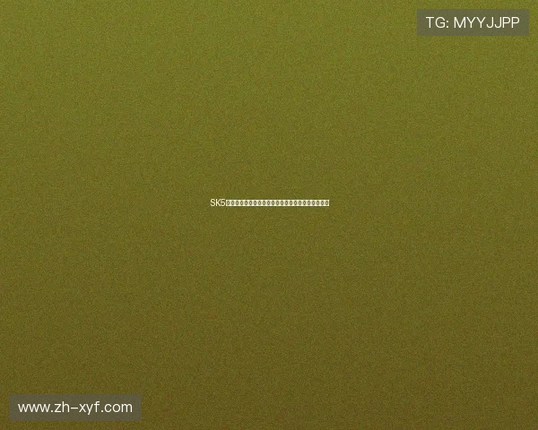 SK5网上娱乐的技术保障确保游戏运行的稳定性与流畅性