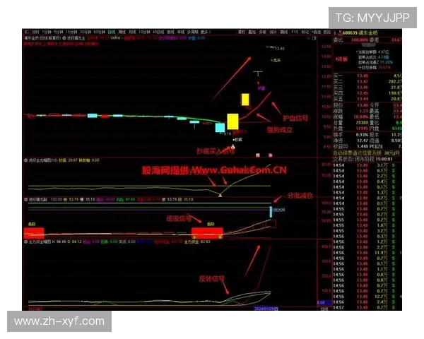 多宝真人官网正规平台保障玩家资金安全，放心体验每一场真人比赛
